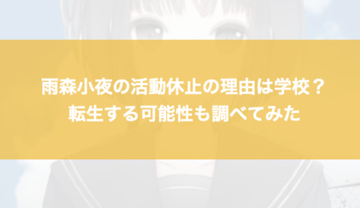 雨森小夜の活動休止の理由は学校？転生する可能性も調べてみた
