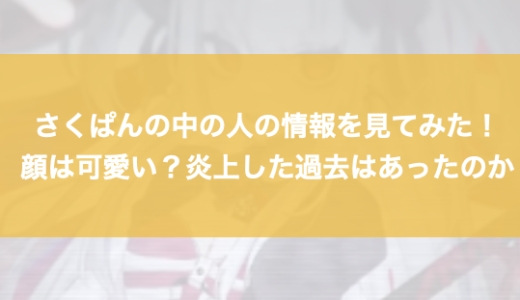 さくぱんの中の人の情報を見てみた！顔は可愛い？炎上した過去はあったのか