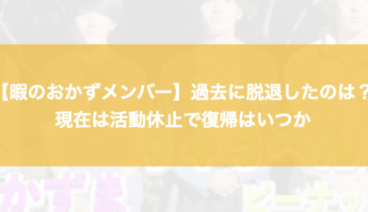 【暇のおかずメンバー】過去に脱退したのは？現在は活動休止で復帰はいつか